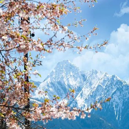Scenic In Tirol With Garden *