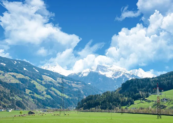 Near Paradise شقة كالتنباش