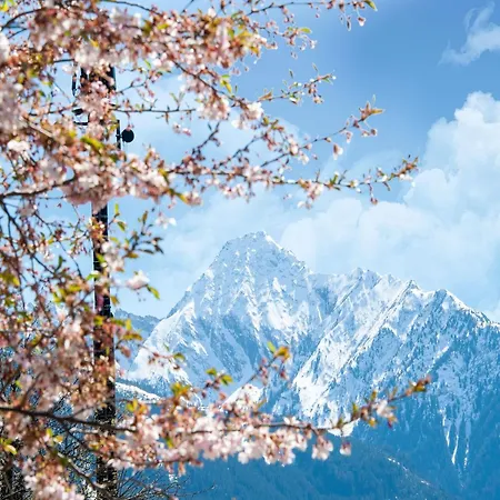 Apartment Near Paradise